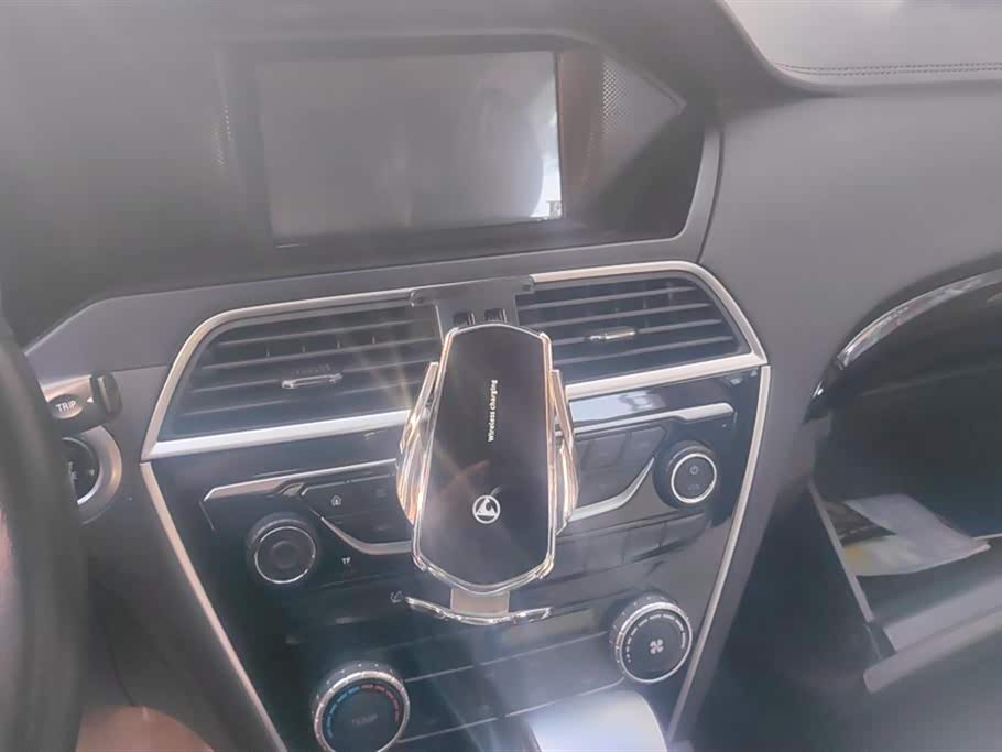 Leopaard Cheetah CS10