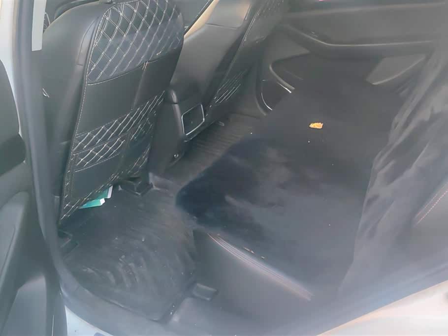 Leopaard Cheetah CS10