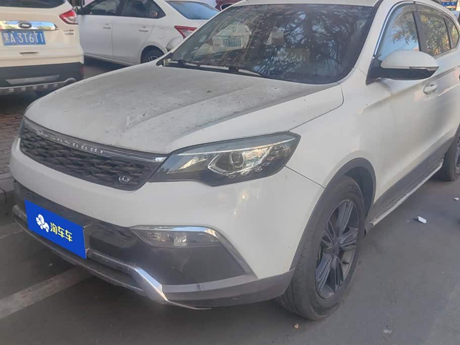 Leopaard Cheetah CS10