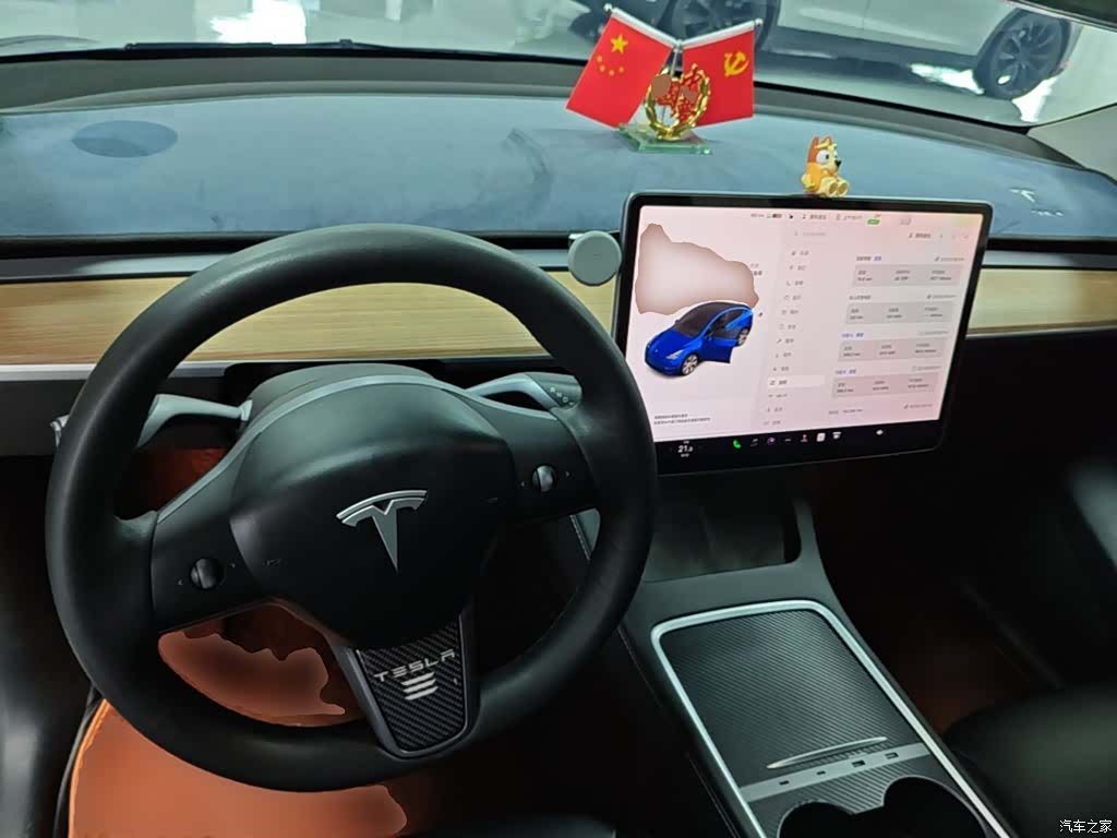 Tesla Model Y, 2021 10
