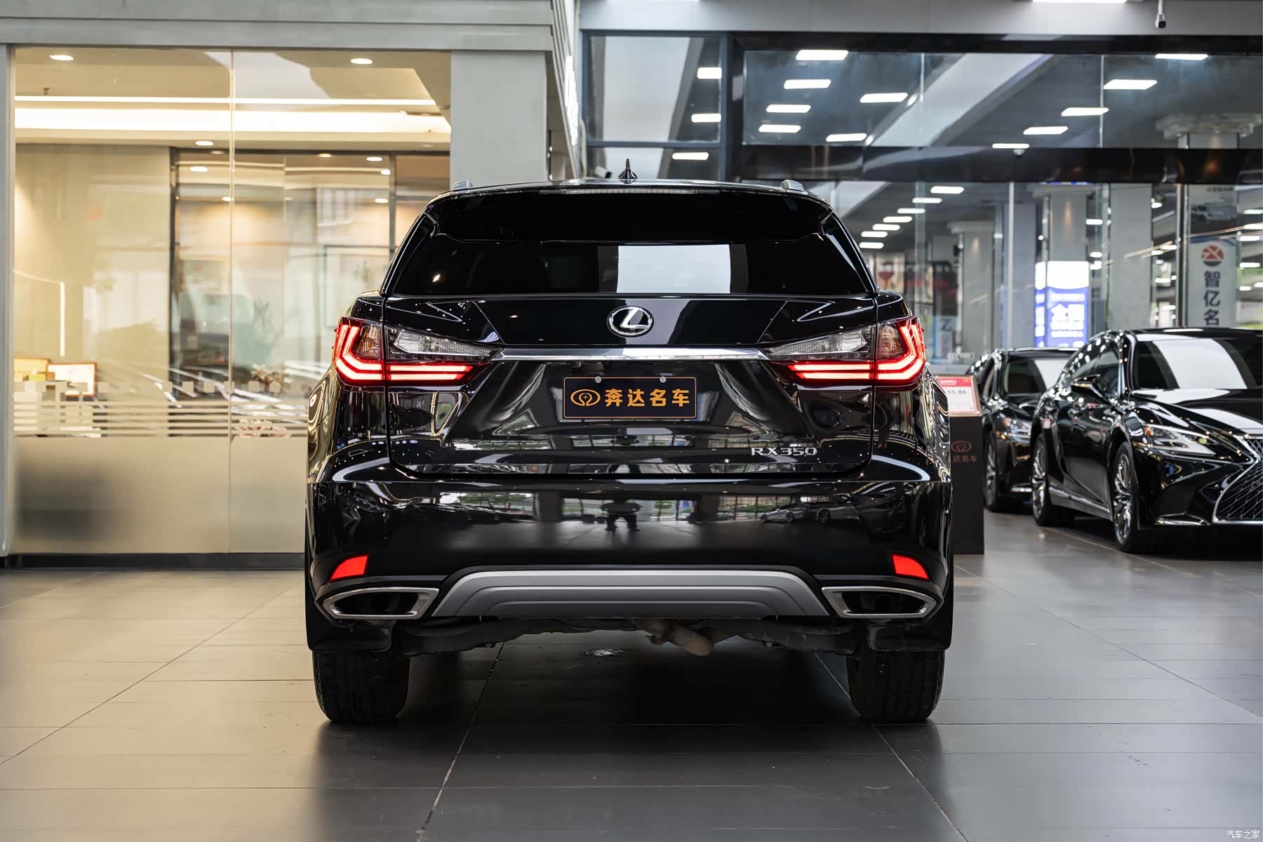 Lexus RX, 2022 все фото