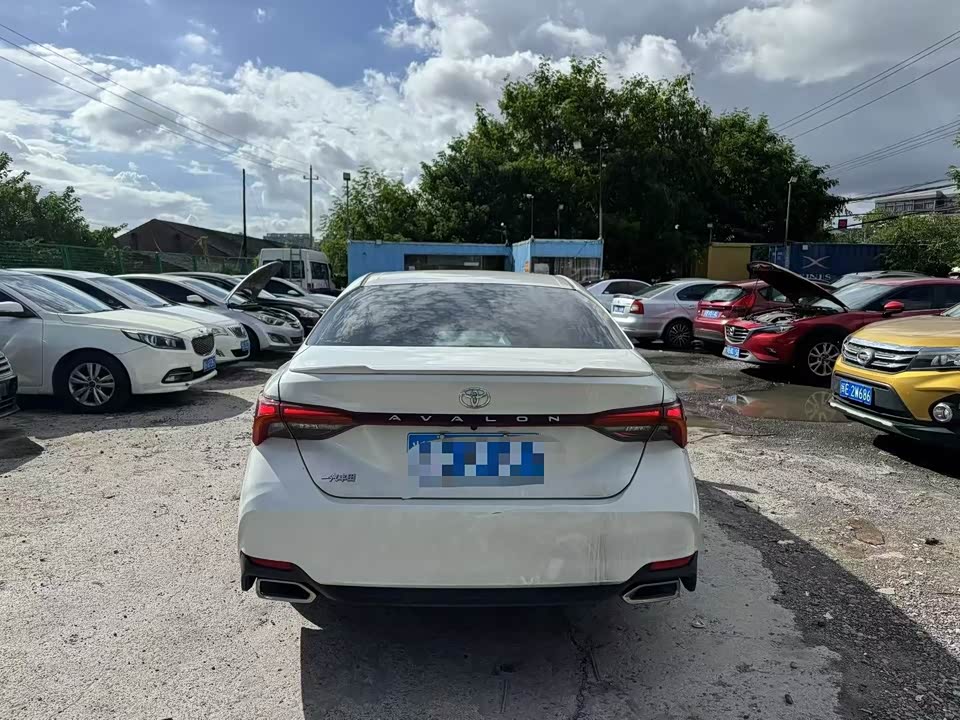 Toyota Asian dragon