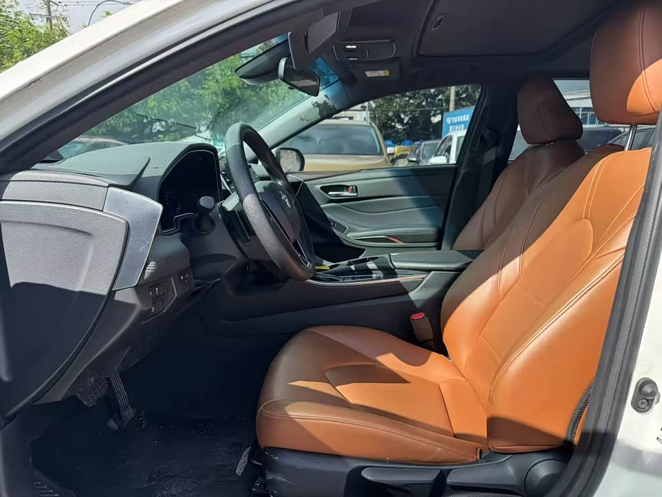 Toyota Asian dragon