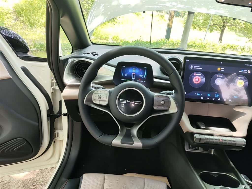 BYD Dolphin, 2023 11