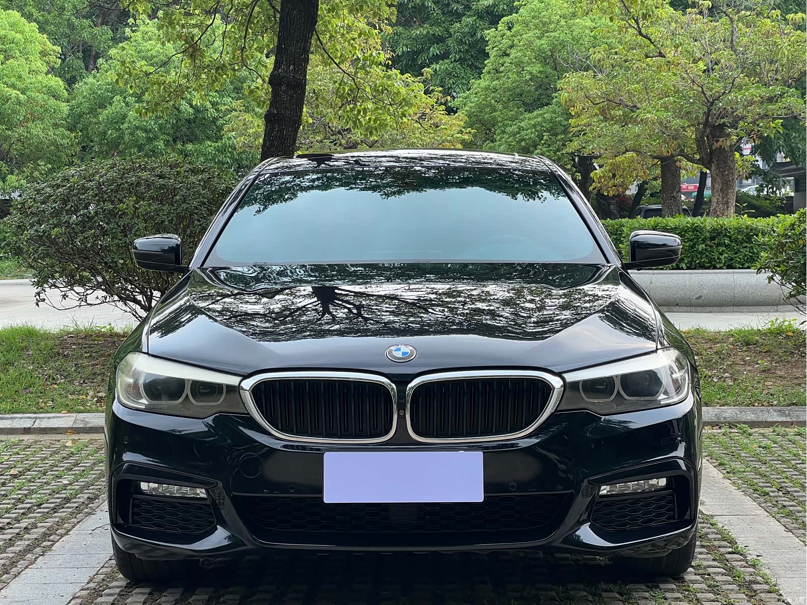 BMW 5 Series, 2017 3