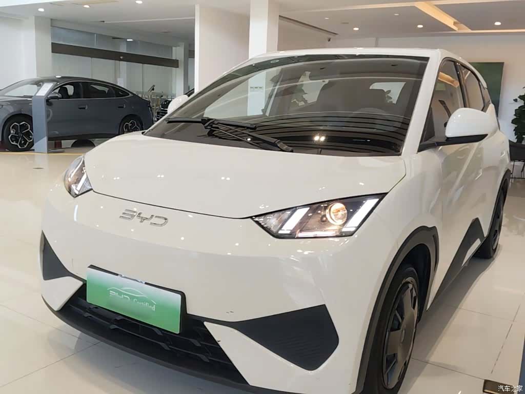 BYD Seagull, 2025 1