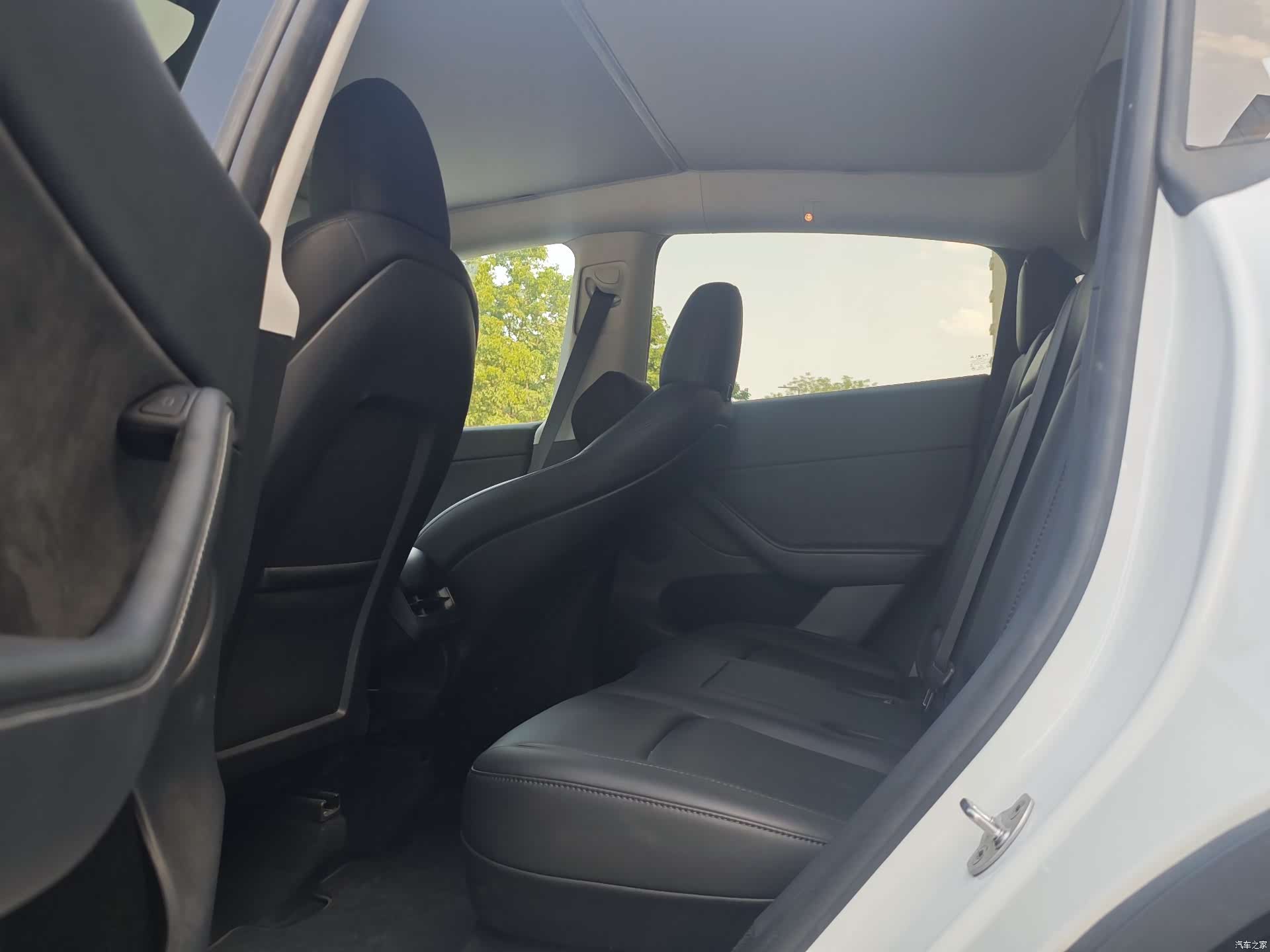 Tesla Model Y, 2024 все фото