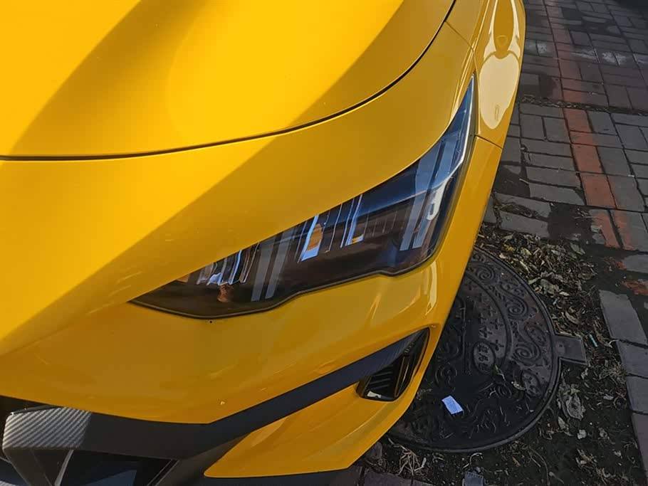 Trumpchi Shadow Leopard