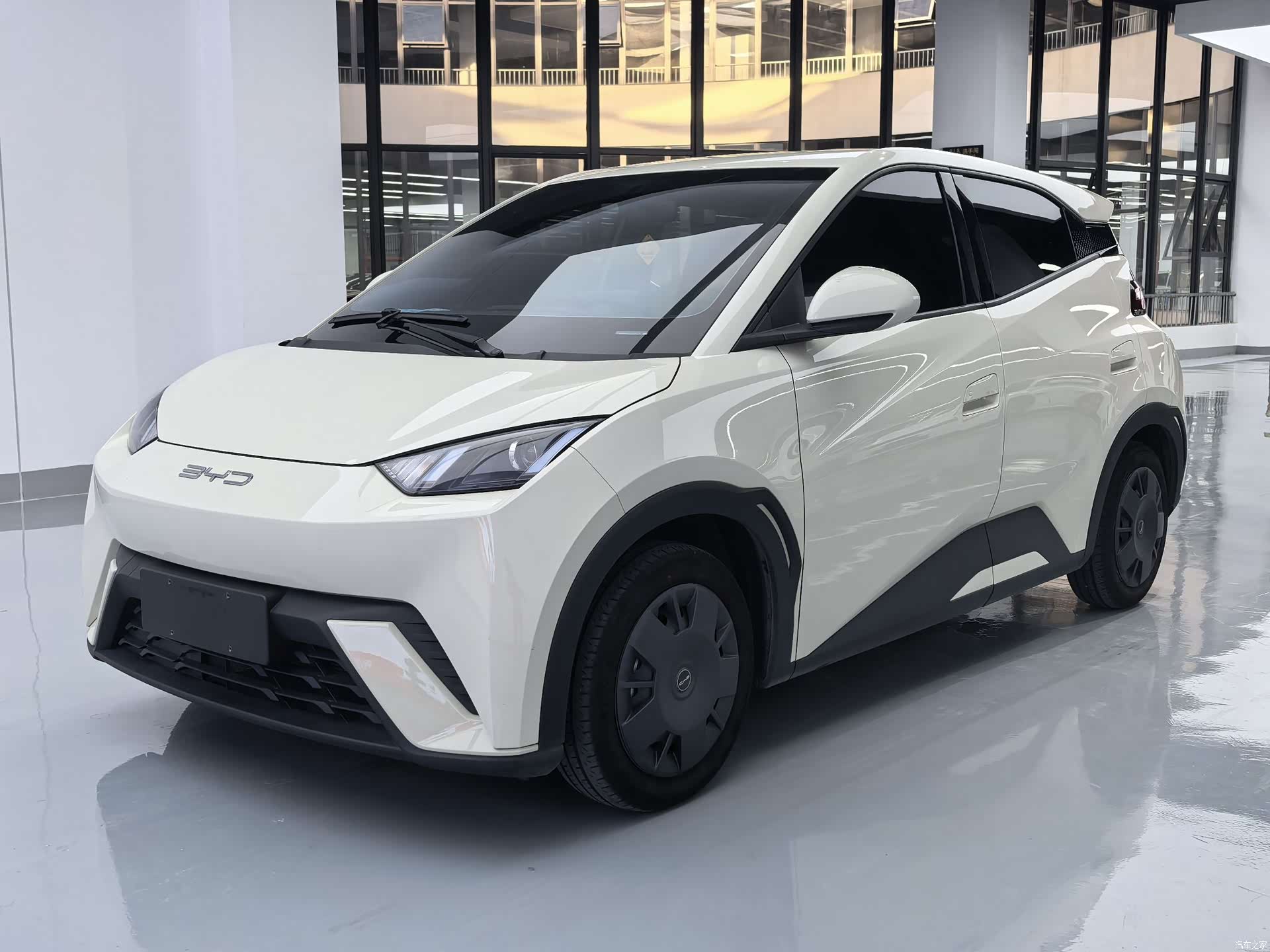 BYD Seagull, 2024 1