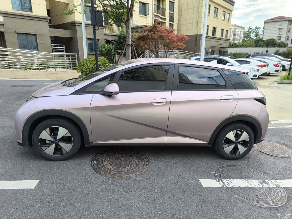 BYD Dolphin, 2023 25