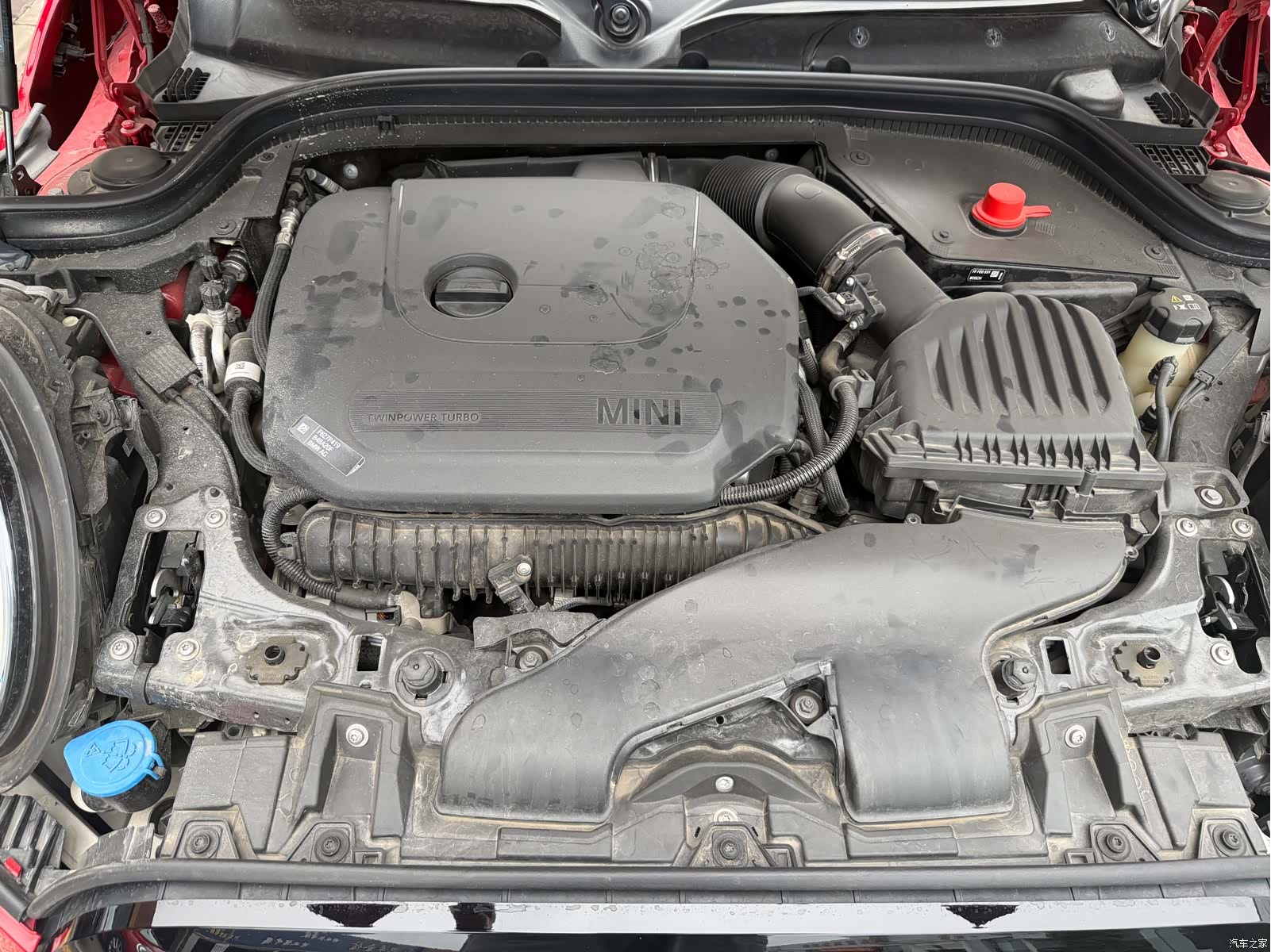 Mini Cooper, 2024 9