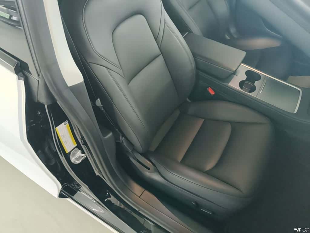 Tesla Model 3, 2021 25
