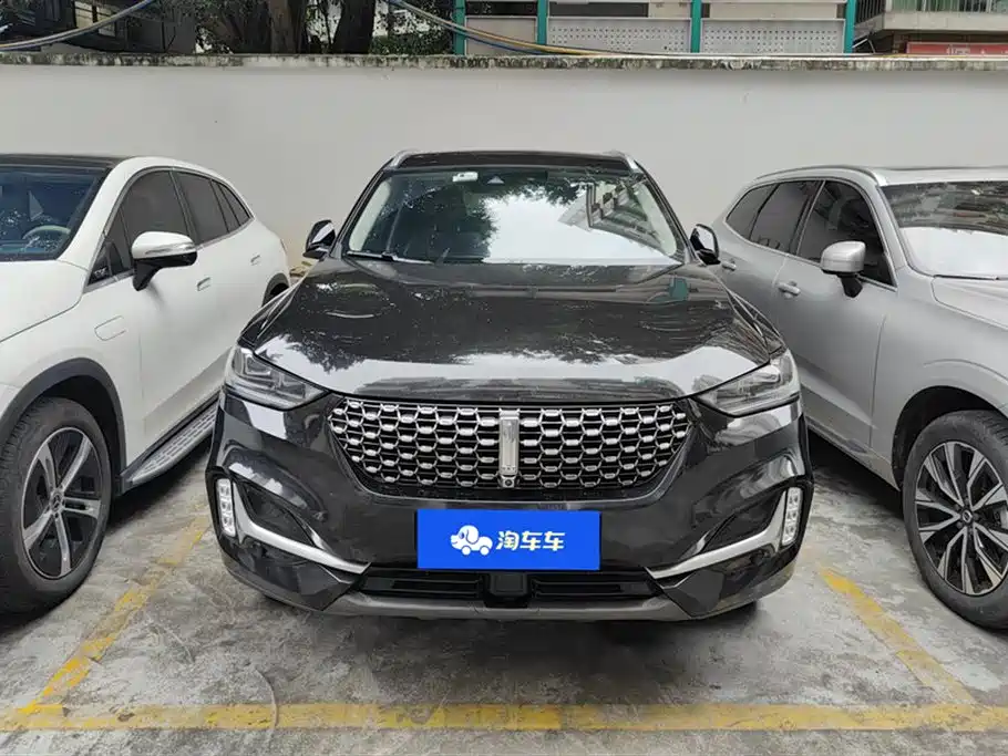 Weipai VV6