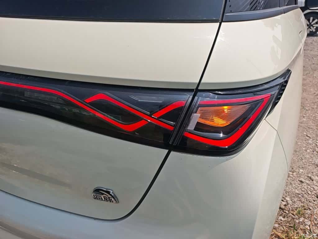 BYD Dolphin, 2024 8