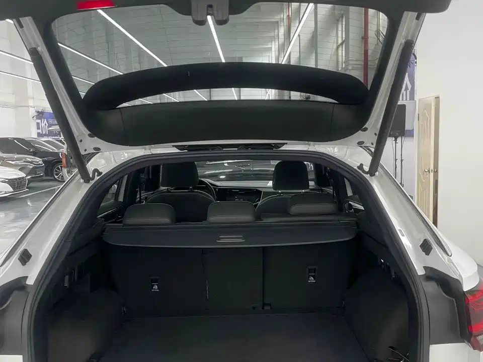 Volkswagen Tanyue X
