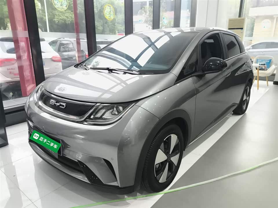 BYD dolphin