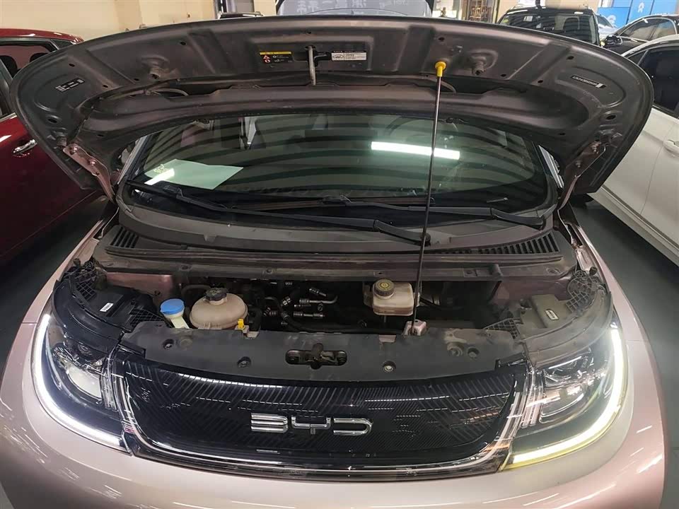 BYD dolphin BYD dolphin