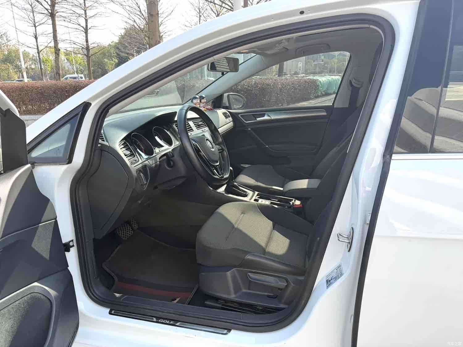 Volkswagen Golf, 2018 все фото