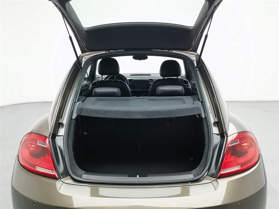 Volkswagen Beetle Volkswagen Beetle