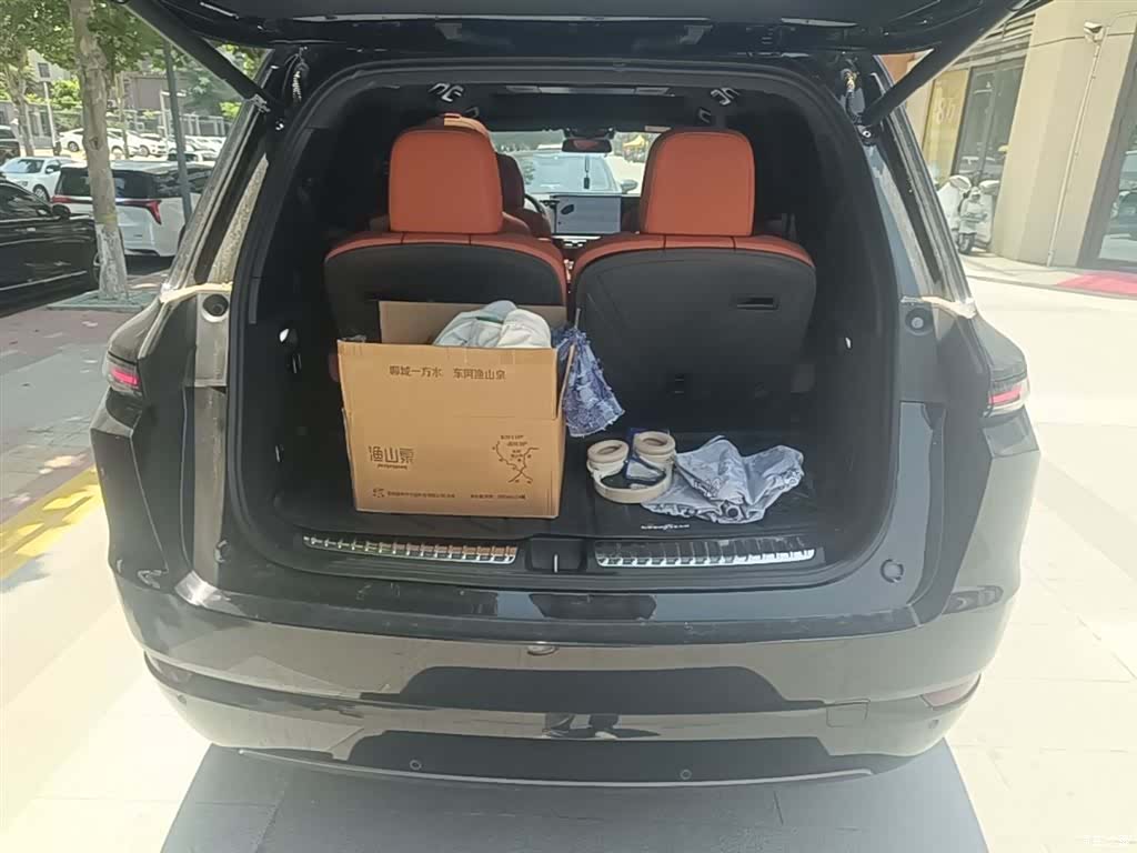 Li Auto L9, 2024 19