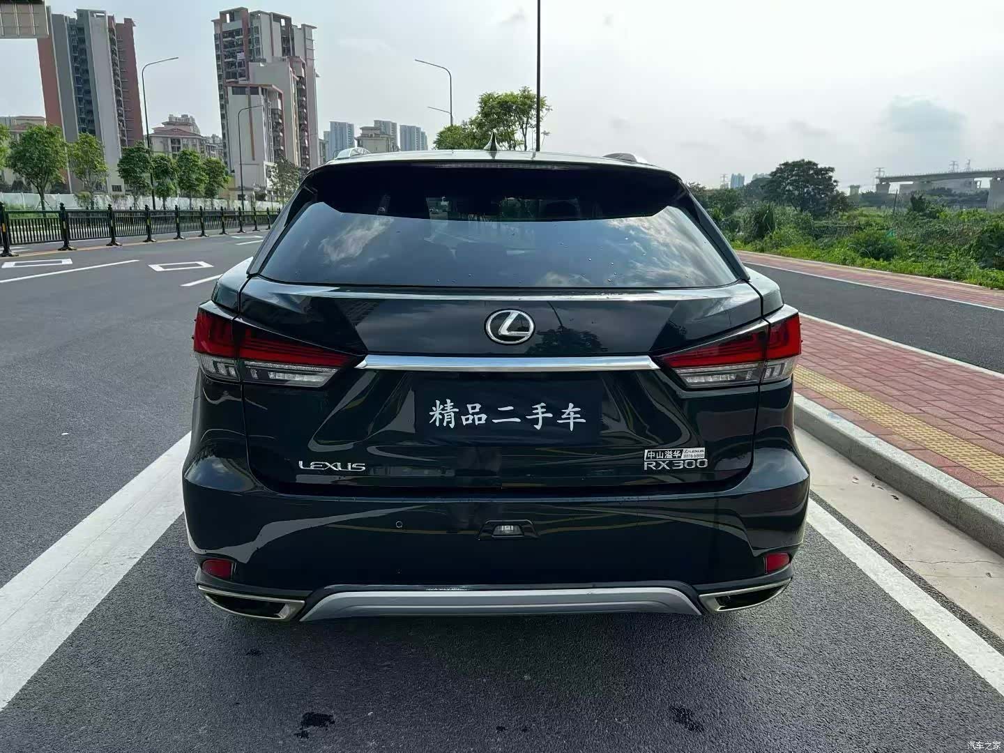 Lexus RX, 2020 все фото