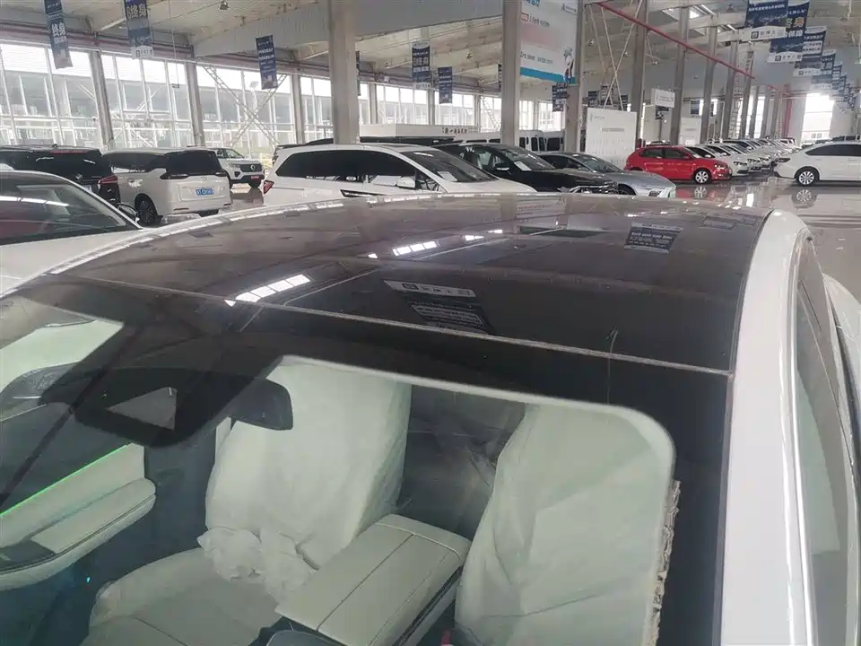 VOYAH Yuanhang Y6