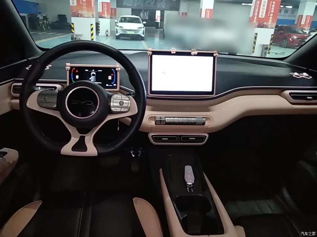 BYD Seagull, 2024 10
