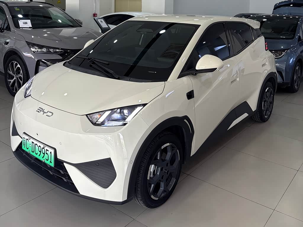 BYD Seagull