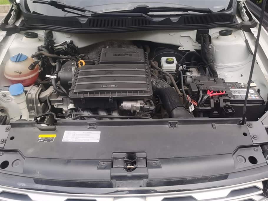 Volkswagen C-TREK Wei Collar