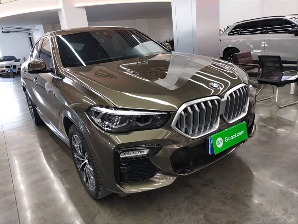 BMW X6