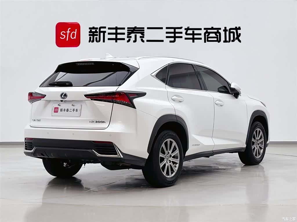 Lexus NX, 2020 все фото