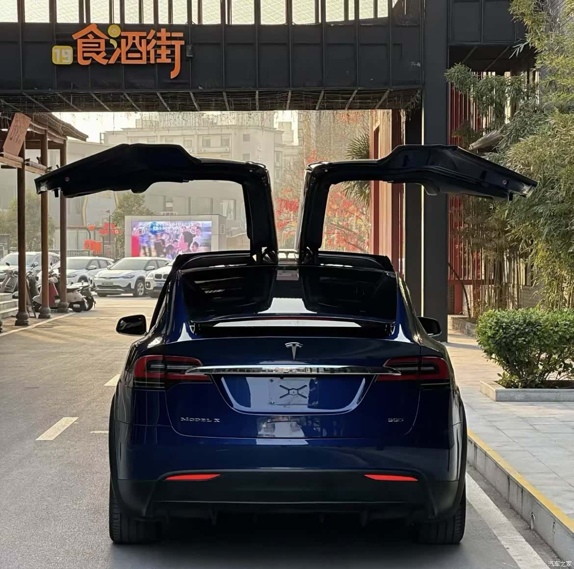 Tesla Model X, 2017 9
