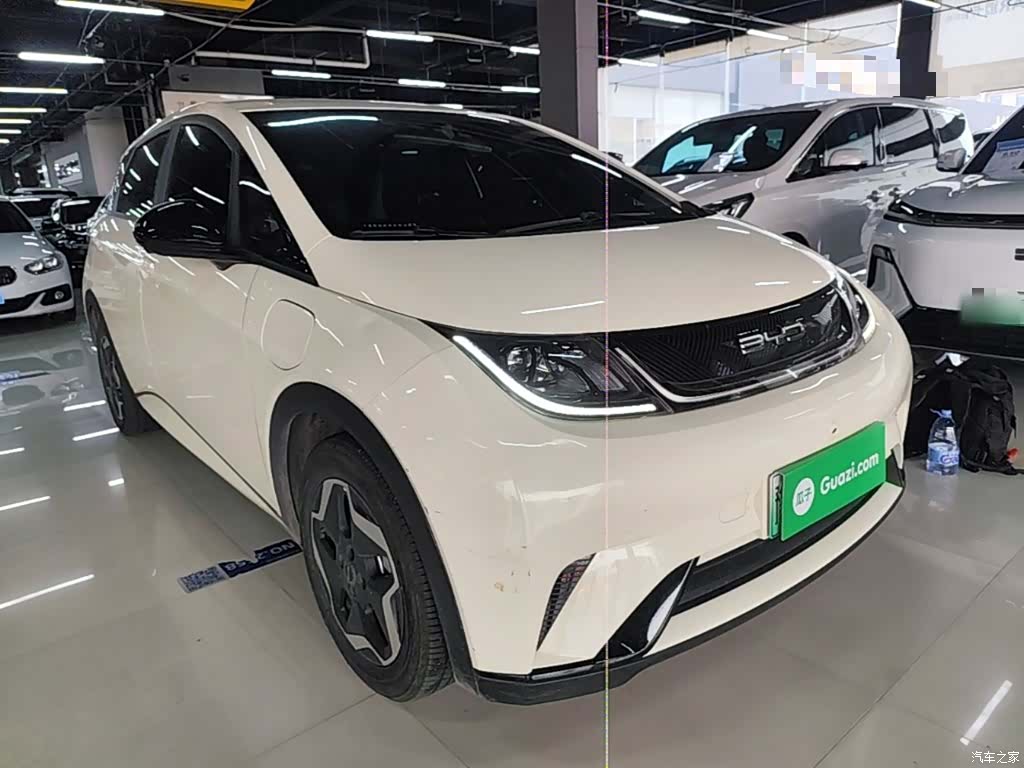 BYD Dolphin, 2022 4