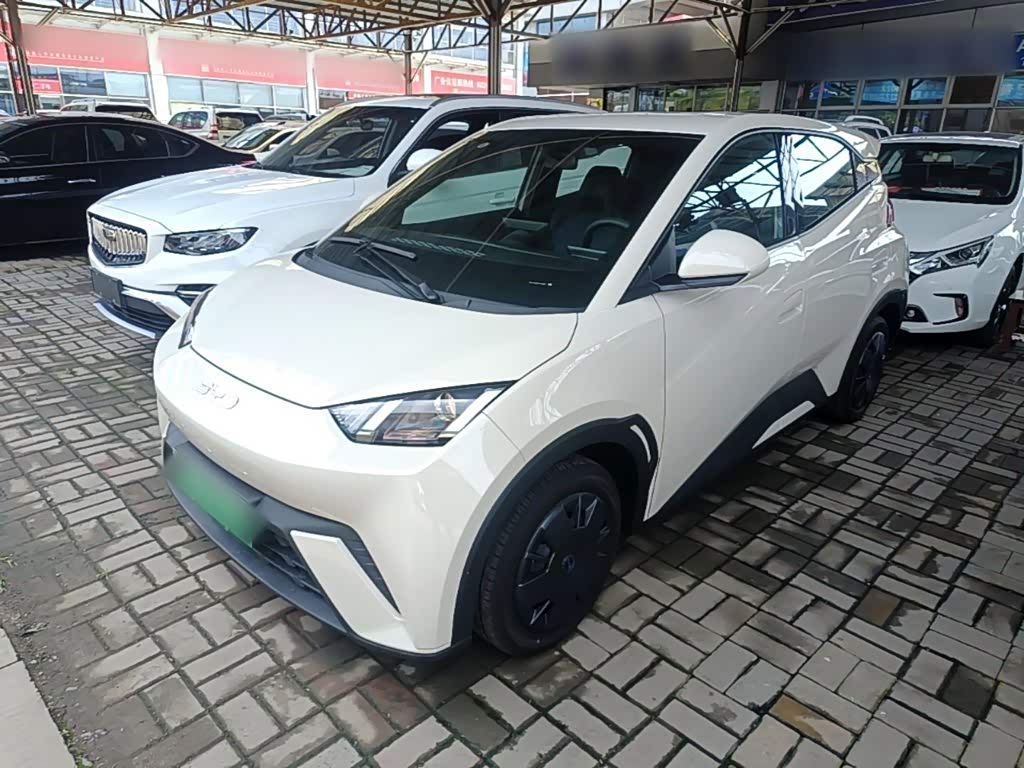 BYD Seagull