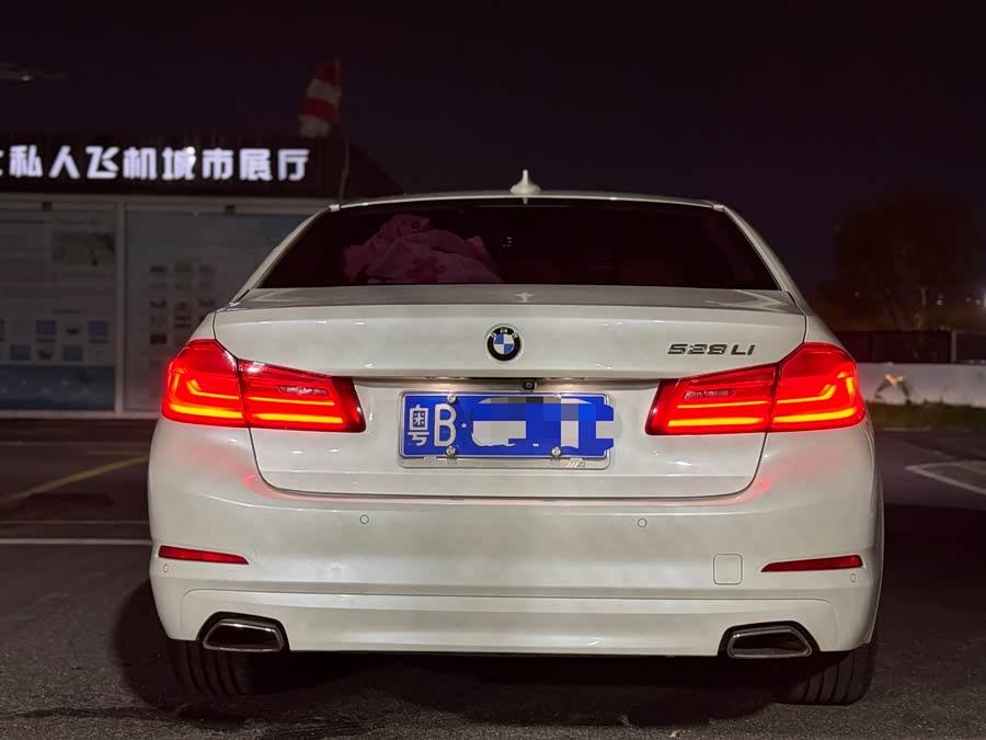 BMW 5 Series 2018, фото 14