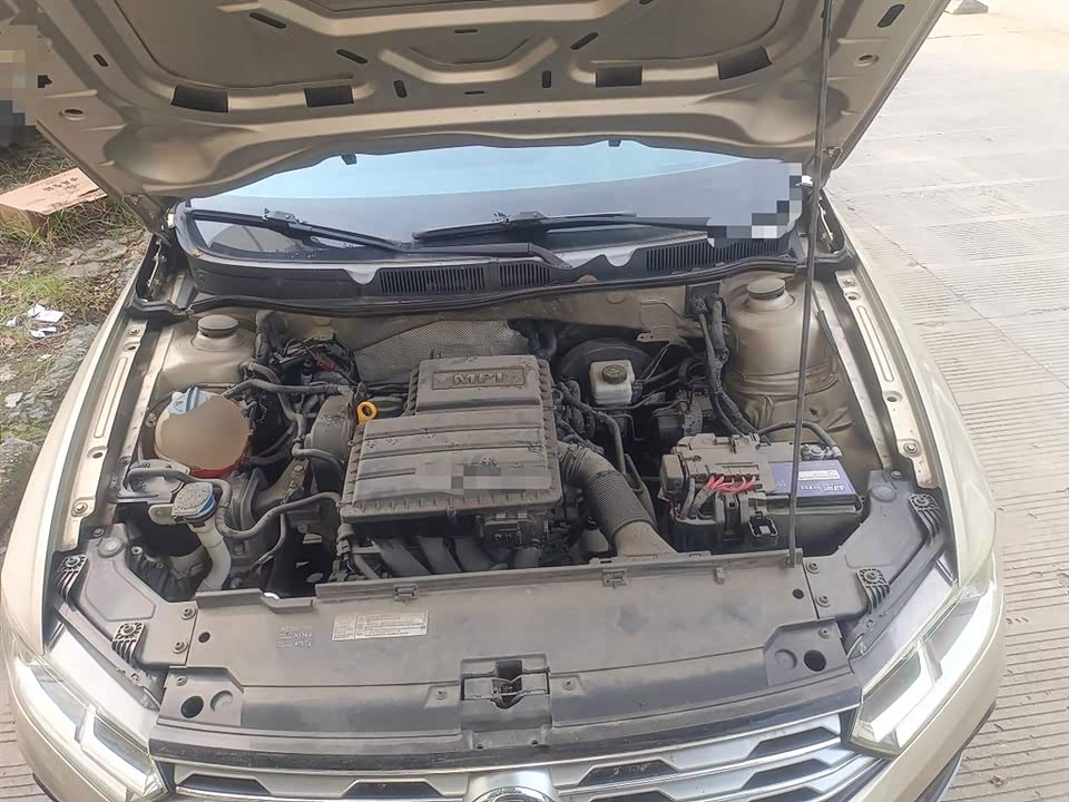 Volkswagen C-TREK Wei Collar