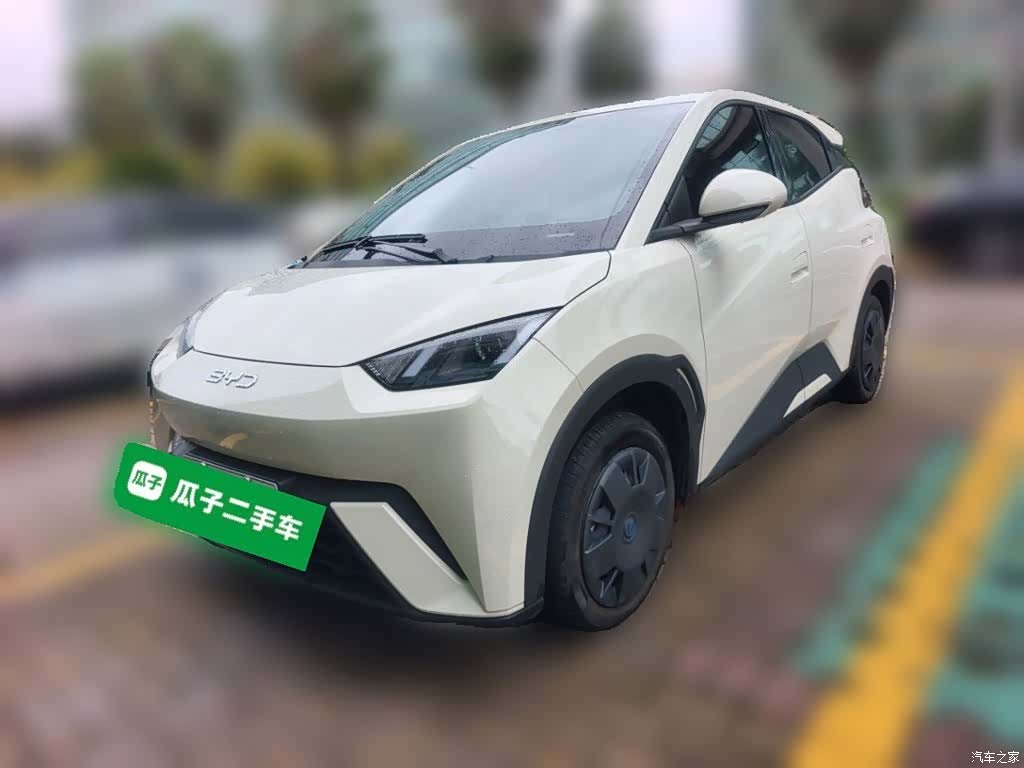 BYD Seagull, 2024 1