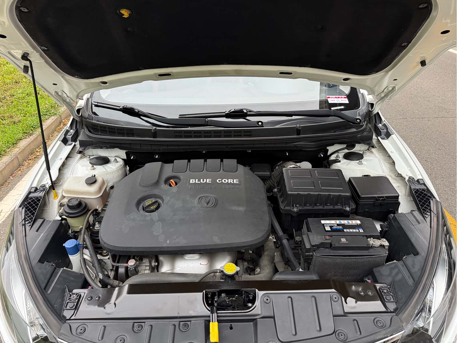 Changan Eado, 2015 16