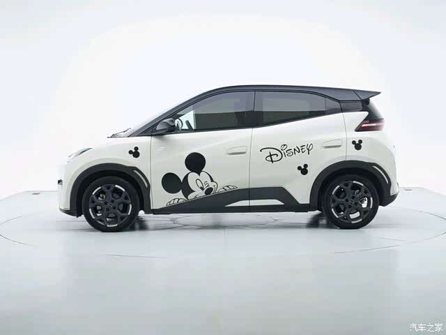 BYD Seagull, 2024 7