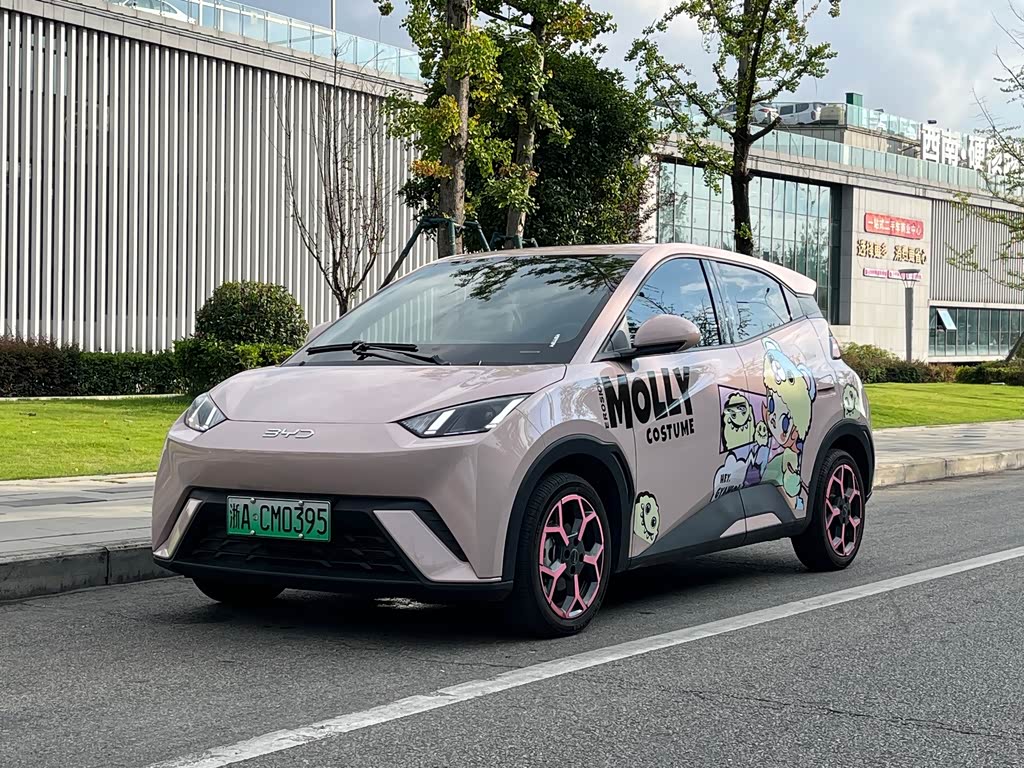 BYD Seagull