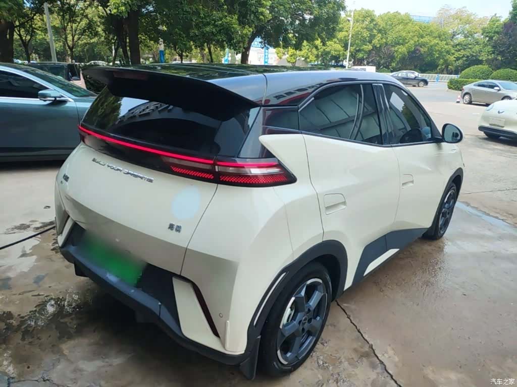 BYD Seagull, 2024 все фото