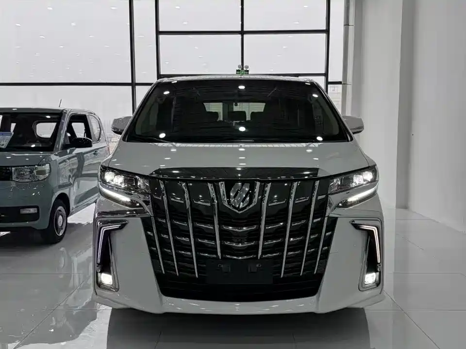 Toyota Elfa