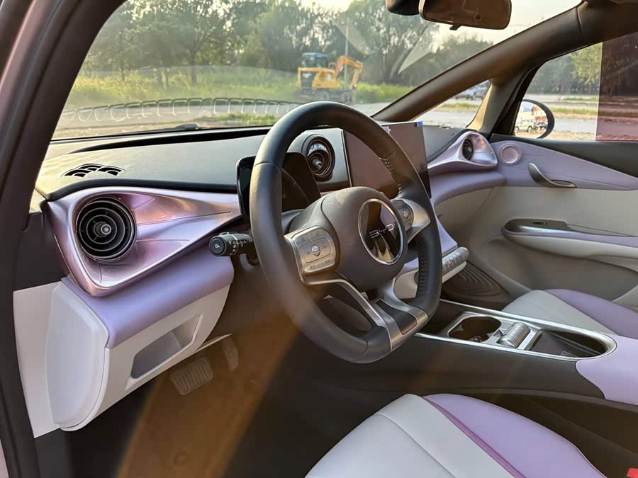 BYD Dolphin 2022, фото 14
