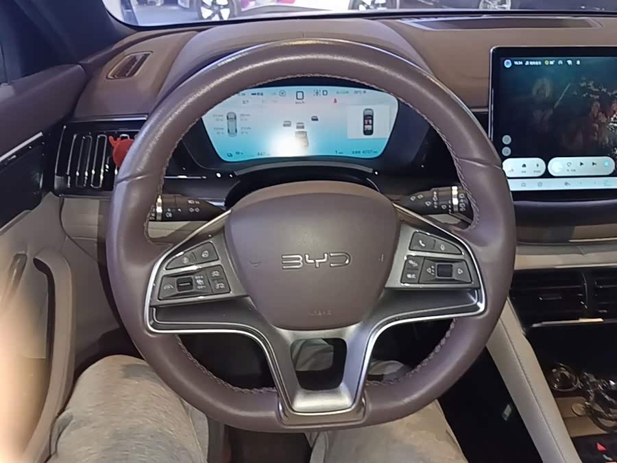 BYD Song PLUS New Energy 2025, фото 11