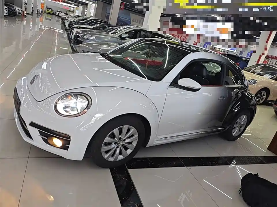 Volkswagen Beetle Volkswagen Beetle