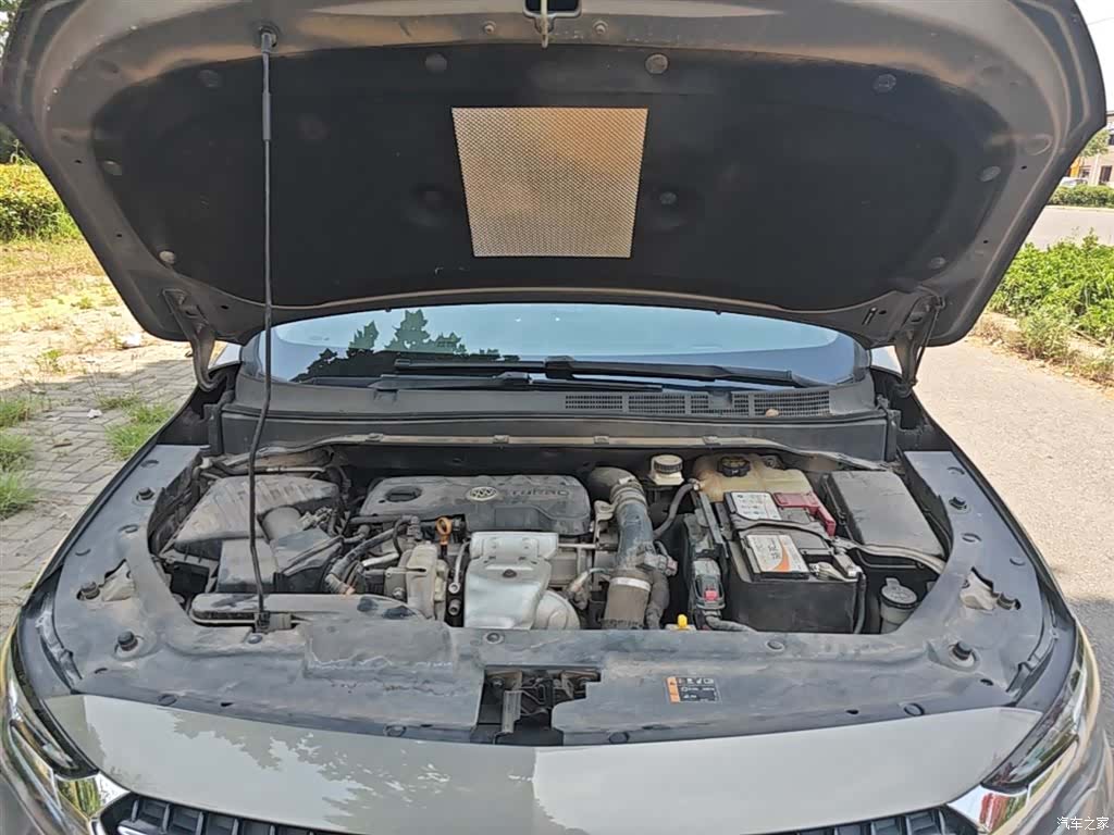 Buick GL6, 2019 20