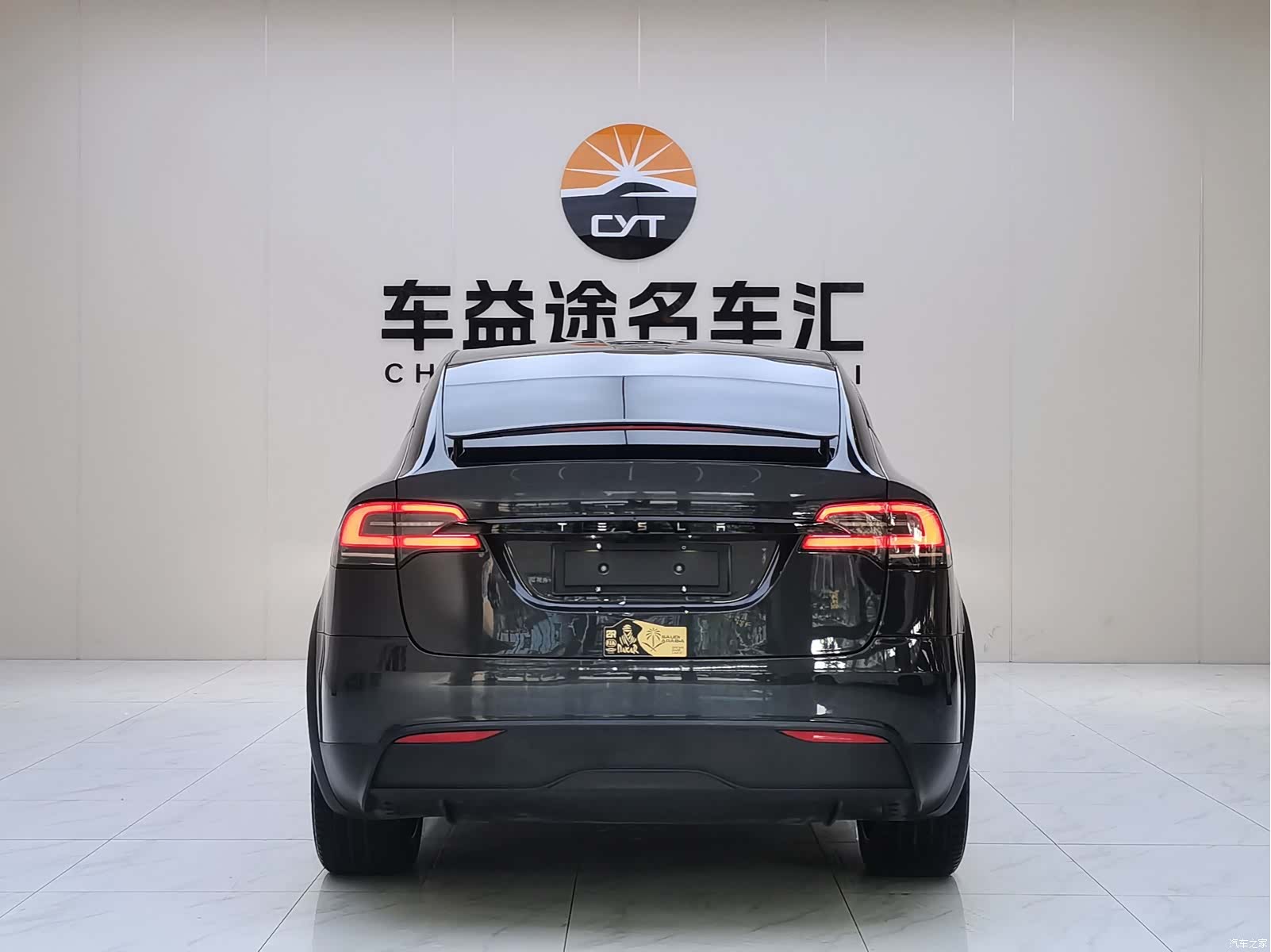 Tesla Model X, 2023 все фото
