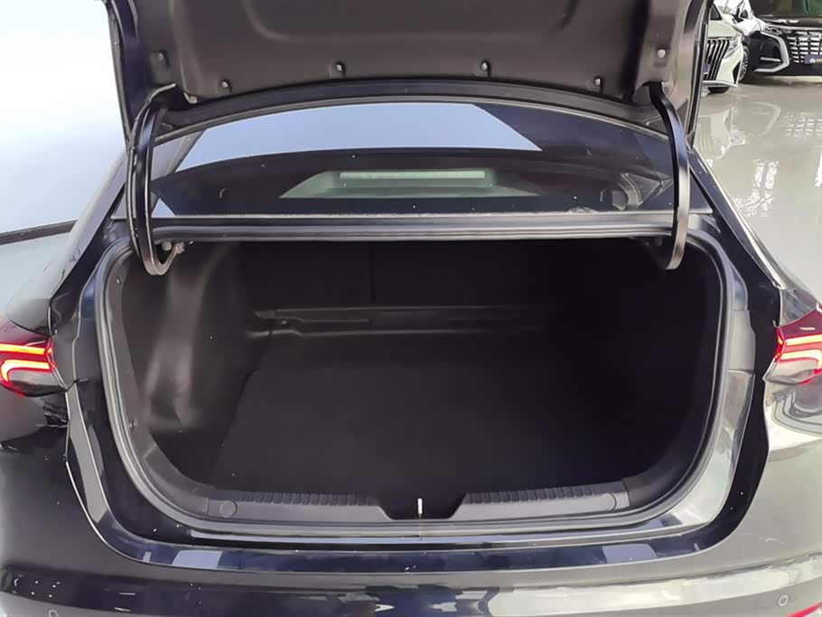 Trumpchi Shadow Leopard