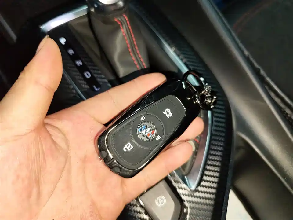 Buick Weilang