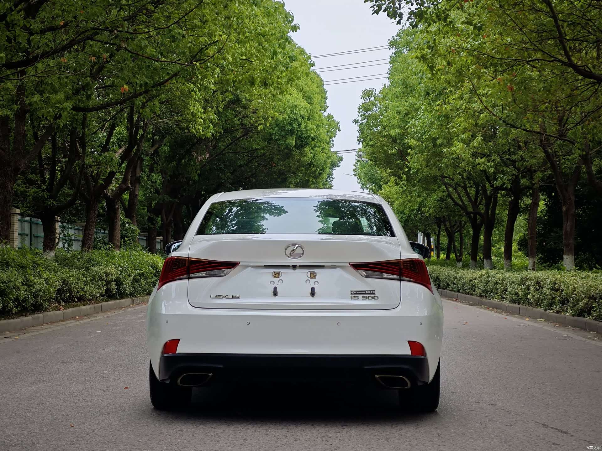 Lexus IS, 2019 все фото